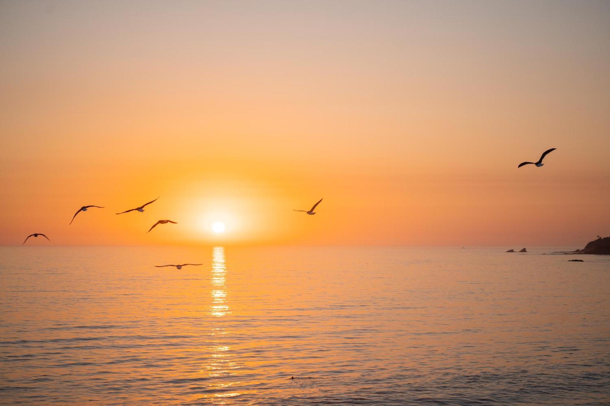 Pacific Edge Hotel Laguna Beach Dış mekan fotoğraf